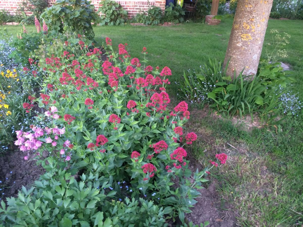 Willa Les Coquelicots Nibas Zewnętrze zdjęcie