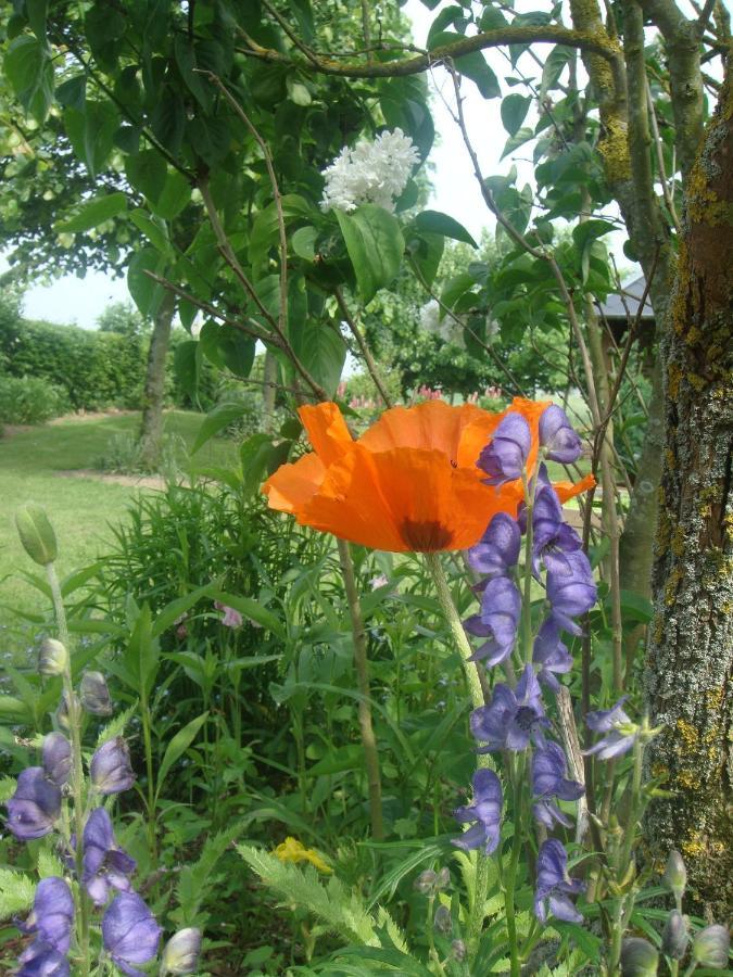 Willa Les Coquelicots Nibas Zewnętrze zdjęcie