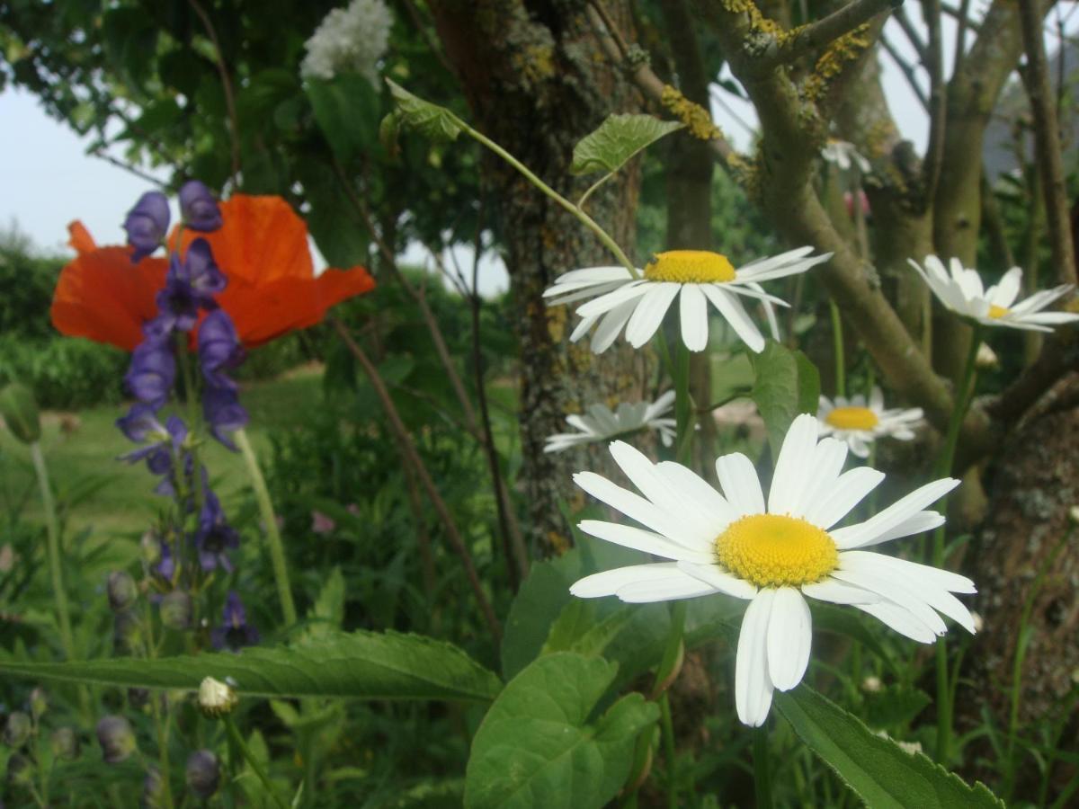 Willa Les Coquelicots Nibas Zewnętrze zdjęcie